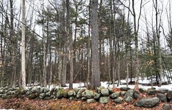 Summit Road lot: # 1, Gray, ME 04039