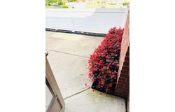 4666 Wenham Park, Columbus, OH 43230