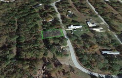 Ben Nevis, Briarcliff, AR 72653
