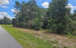 34030 Long Circle, Webster, FL 33597