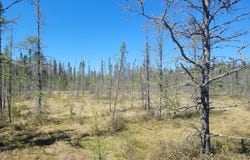 ON CTH G, Eagle River, WI 54521