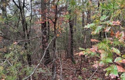 3 Countryside Drive, Dunlap, TN 37327