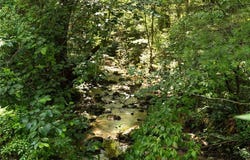 Boone Trail, Purlear, NC 28665