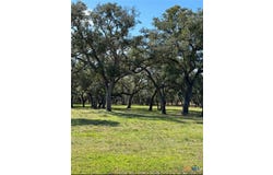 91 Post Oak Branch, Inez, TX 77968