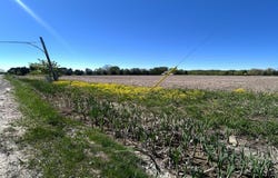 23335 Mcphall Road, Armada, MI 48005