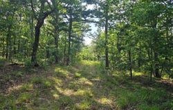 Buffalo Mtn Rd, Talihina, OK 74571