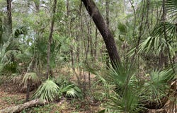 OLD WOODS Road, Interlachen, FL 32148