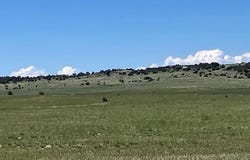 Cedarwood Rd, Rye, CO 81069