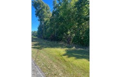 Brewstertown Rd, Robbins, TN 37852
