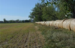 Shepherd Road, Shepherd, MT 59079