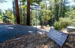 19145 Big Basin WAY, BOULDER CREEK, CA 95006