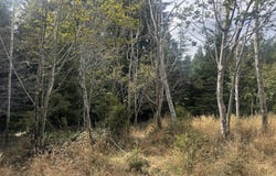 1 IDAHO Ave, CoosBay, OR 97420