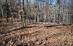 Camp Road, Weyerhaeuser, WI 54895