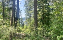 00NKA Lakeview Dr., Harrison, ID 83833