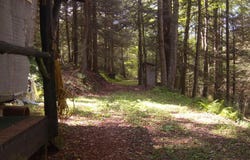 Nelson Run Road, Austin, PA 16720
