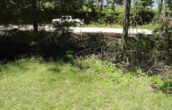 967 E Hwy 333, Saint Joe, AR 72675