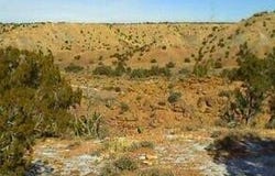 150 County Rd. N 6100, St Johns, AZ 85936