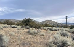 Tehachapi, CA 93561