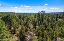 1948 Elk Road, Heber, AZ 85928