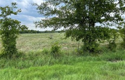 53+ Fm-513, Campbell, TX 75422