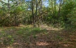 County Road 3324, 24 Ac, Pittsburg, TX 75686