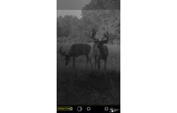 Stewart Road, Monroe, MI 48162