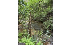 Mill Trace Court, Cleveland, GA 30528