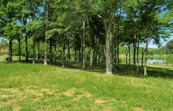 245 Doves Point, GARRISON, TX 75946