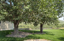7167 US Hwy 89, Belt, MT 59412