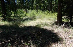 59555 Highway 70, Cromberg, CA 96103
