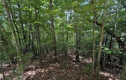 Warren Way lot: 132A, Purlear, NC 28665