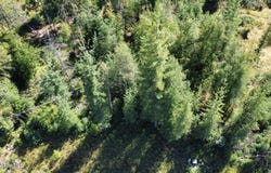 113 Trail Blazer Ct, Pinehurst, ID 83850