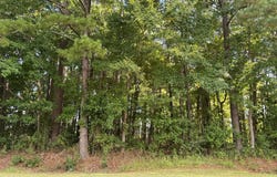 Tinkham Road, Eure, NC 27935
