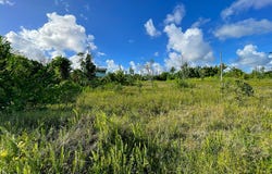 KAPOHANALU ST, Pahoa, HI 96778