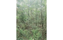 2 Two Mile Road, Irvington, AL 36544