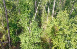 NW 30TH CT, Jasper, FL 32052