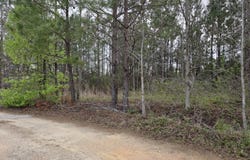 Fuller Road lot: #2, Louisburg, NC 27549