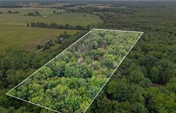 18287 Nelson Road, Saint Charles, MI 48655