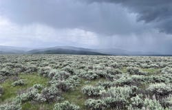 Tract 33 Monte Drive, Wisdom, MT 59761