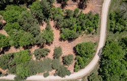 6077 County Road 4200, PENNINGTON, TX 75856