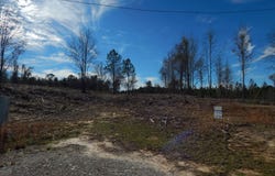 Little Flock Rd., Many, LA 71449