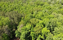 #168 Rolling Road, Lincolnton, NC 28092