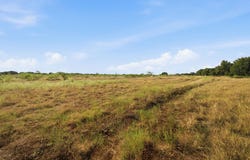 TBD Lot 3 Ranchero St, Bertram, TX 78605