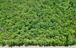 10 HALSO MILL ROAD, Greenville, AL 36037