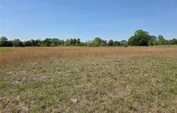 Cr-4240, Simms, TX 75574