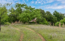 County Road 267, Early, TX 76802