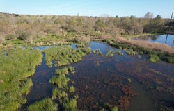 N County Road 143, San Augustine, TX 75972