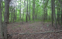 1 Countyline Road, Madison, OH 44057