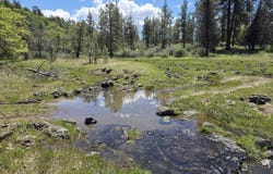 Pitville Road, McArthur, CA 96056