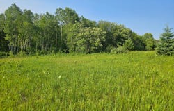 County Road 36, Crosby, MN 56441